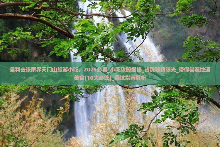 垦利去张家界天门山旅游小吃