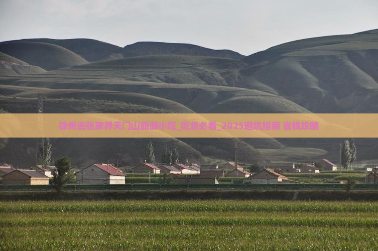 徐州去张家界天门山旅游小吃
