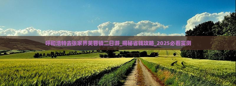 呼和浩特去张家界芙蓉镇二日游