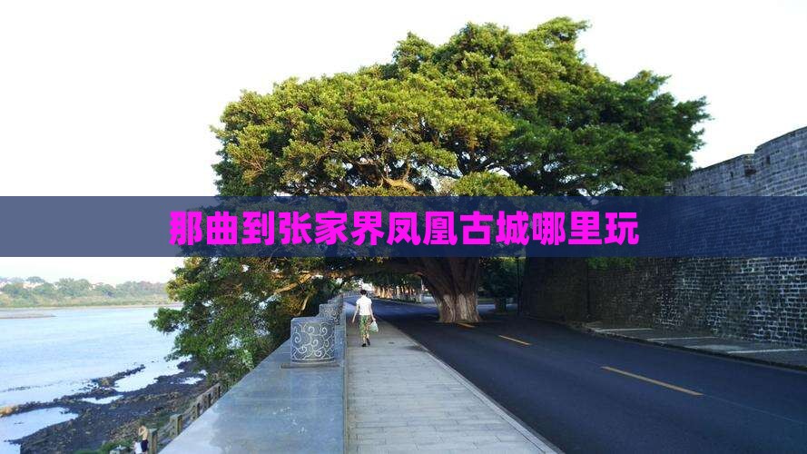 那曲到张家界凤凰古城哪里玩