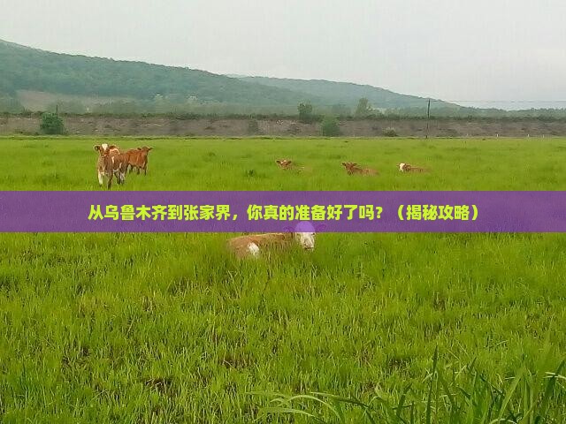 乌鲁木齐去张家界个人游