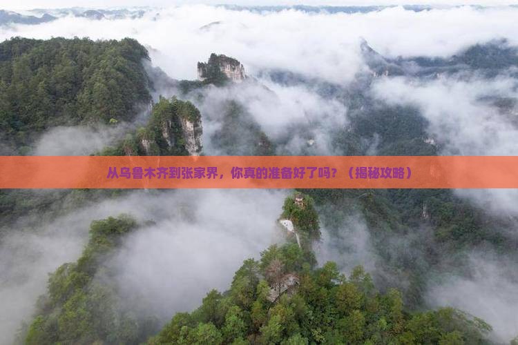 乌鲁木齐去张家界个人游