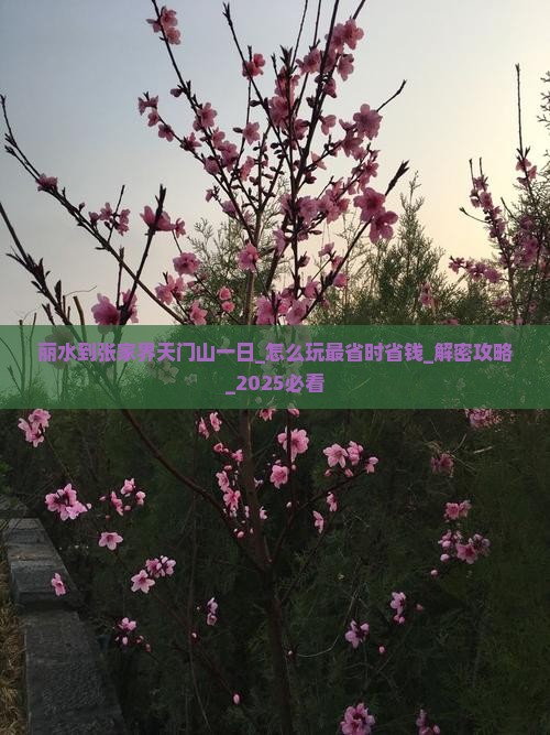丽水到张家界天门山一日