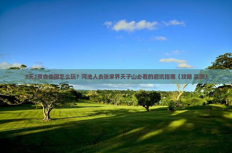 河池去张家界天子山自由团