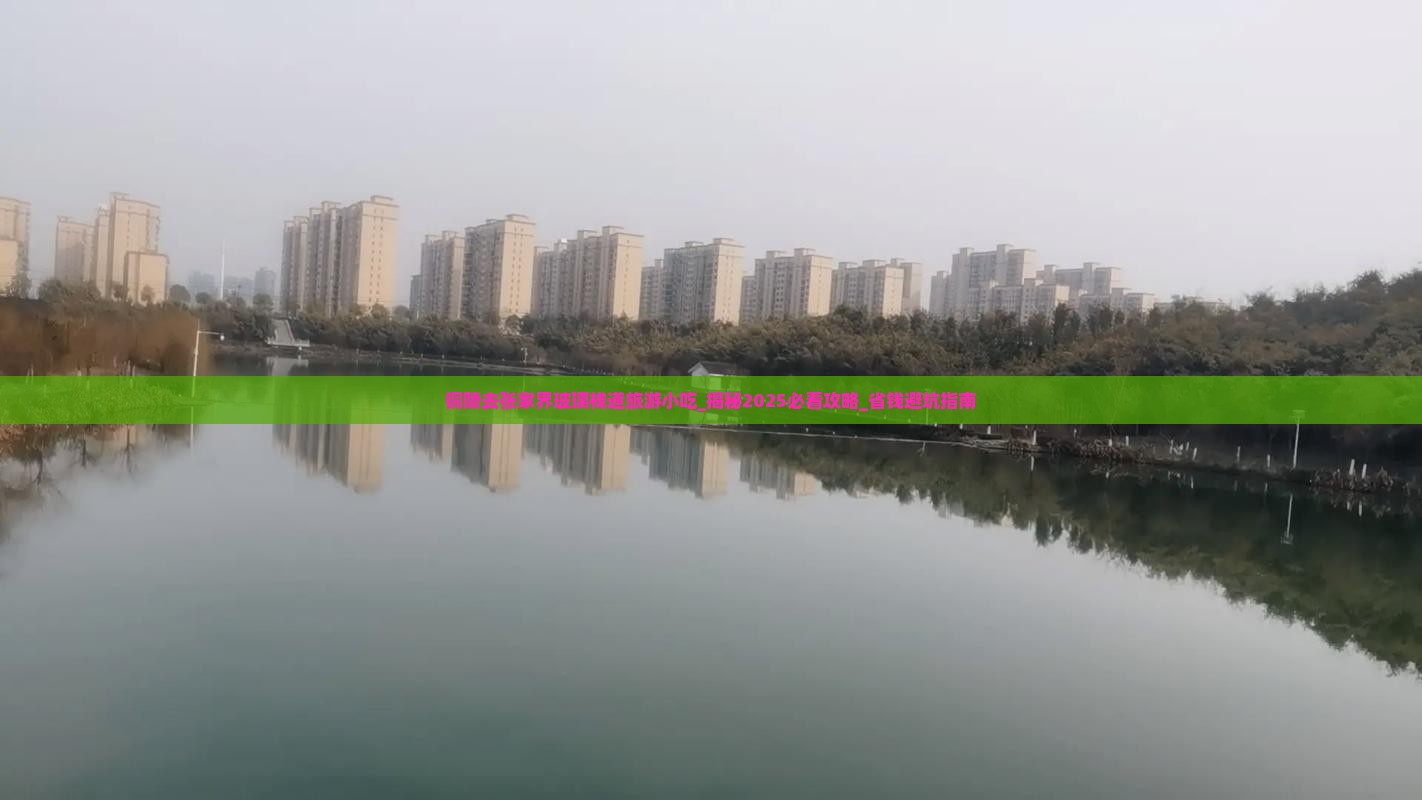 铜陵去张家界玻璃栈道旅游小吃