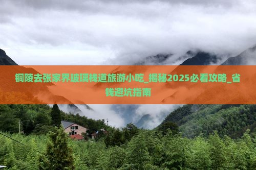 铜陵去张家界玻璃栈道旅游小吃