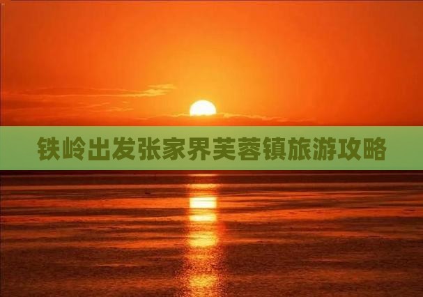 铁岭去张家界芙蓉镇旅行社