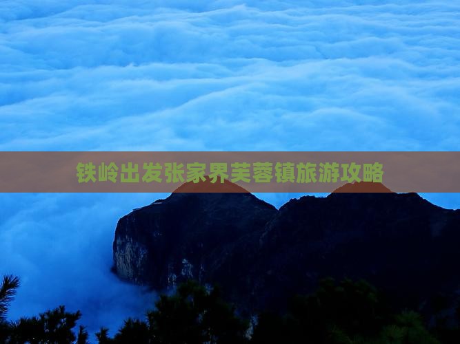 铁岭去张家界芙蓉镇旅行社