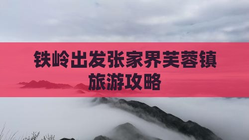 铁岭去张家界芙蓉镇旅行社