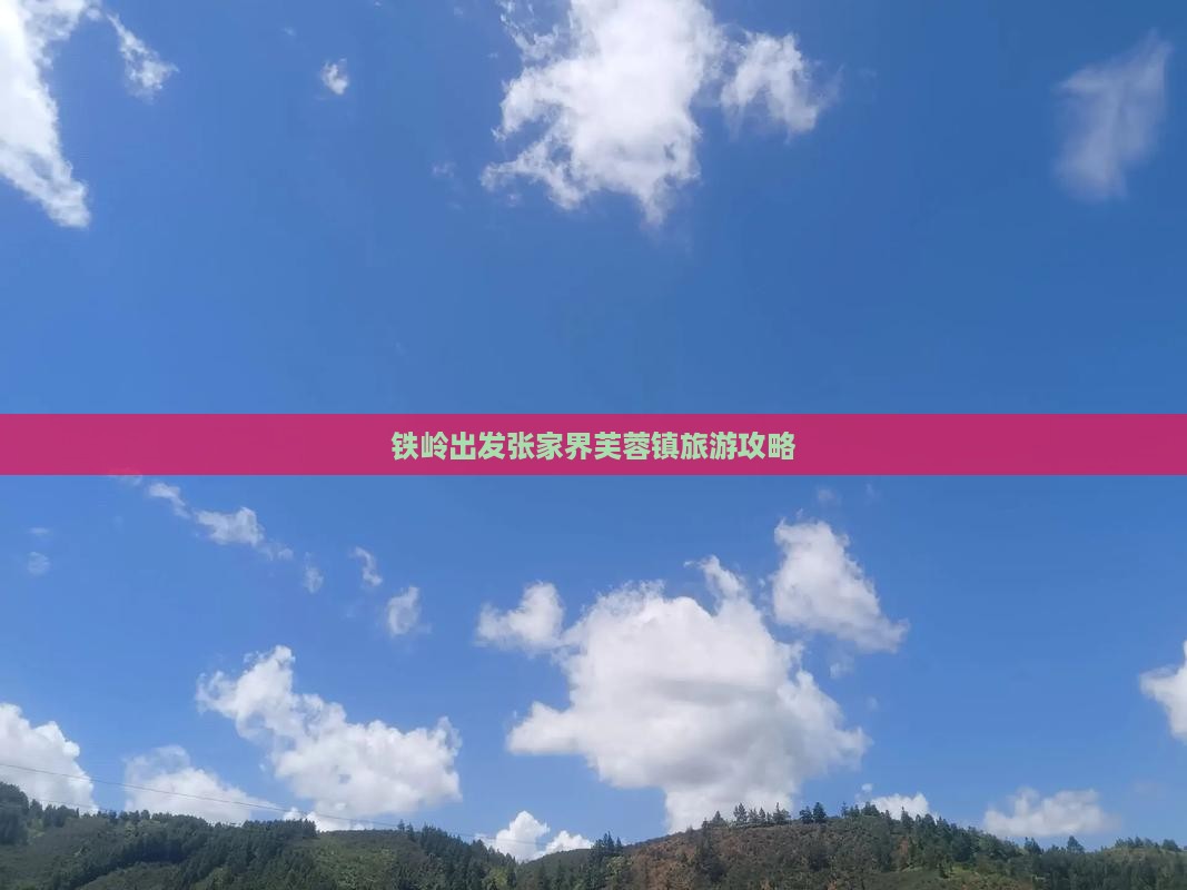 铁岭去张家界芙蓉镇旅行社