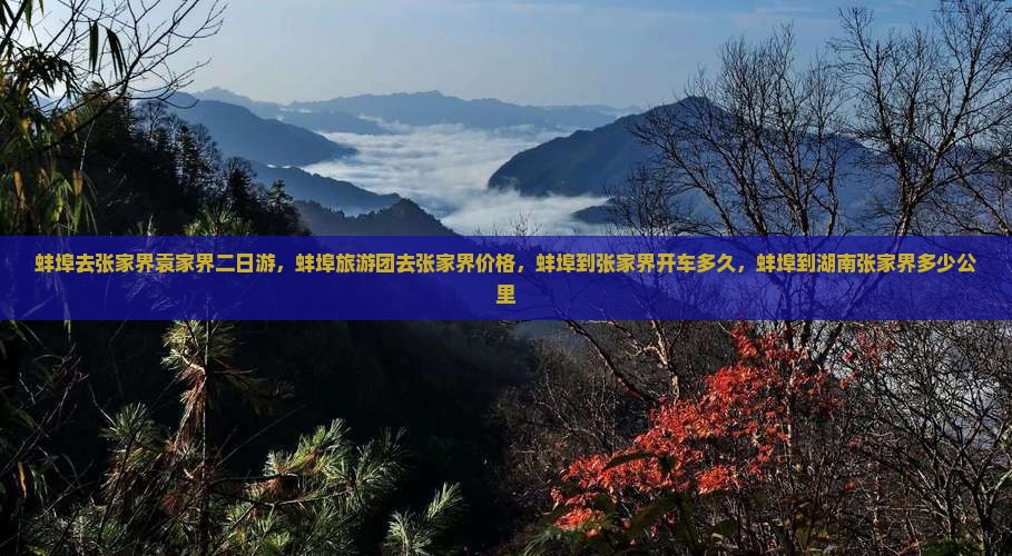 蚌埠去张家界袁家界二日游
