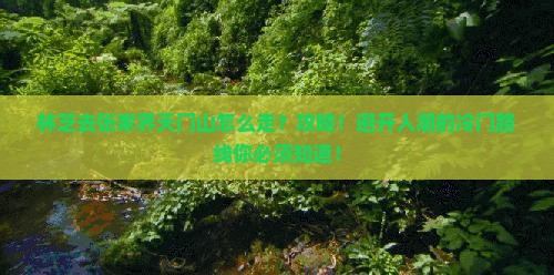 林芝去张家界天门山攻略
