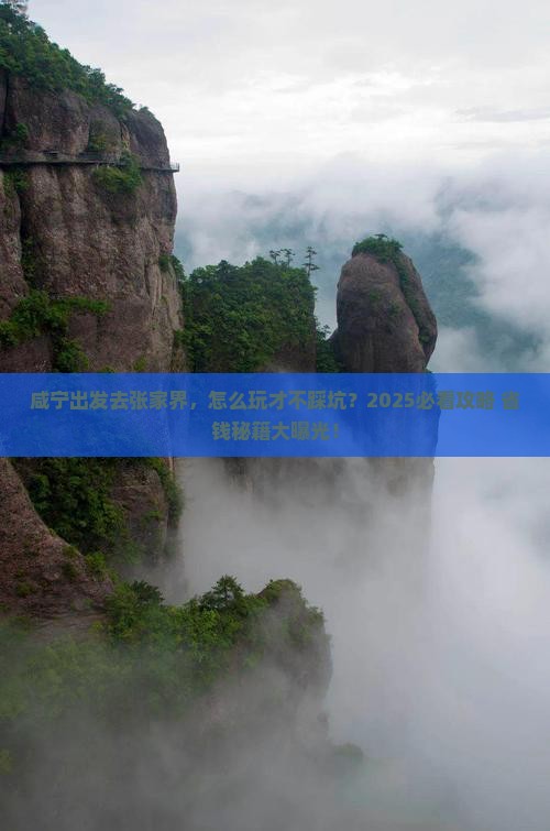 咸宁去张家界景点