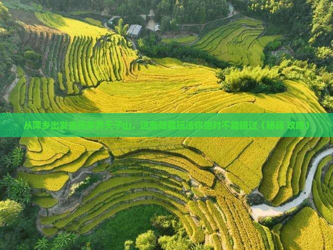 萍乡去张家界天子山哪里玩