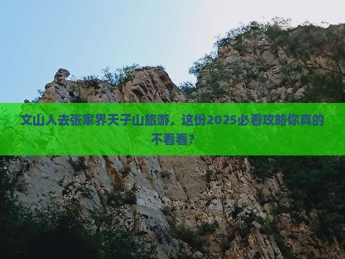 文山去张家界天子山旅游