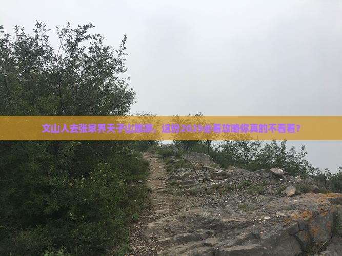 文山去张家界天子山旅游