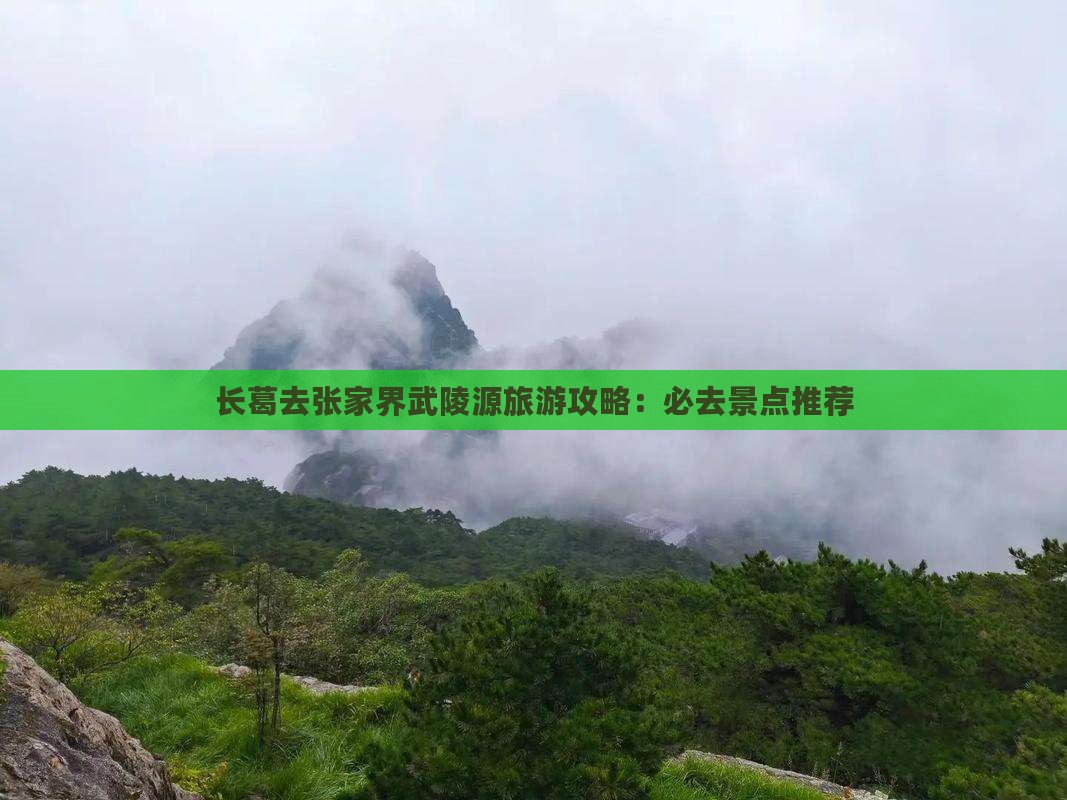 长葛去张家界武陵源哪里玩