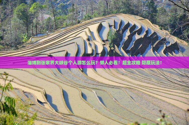 淄博到张家界大峡谷个人游