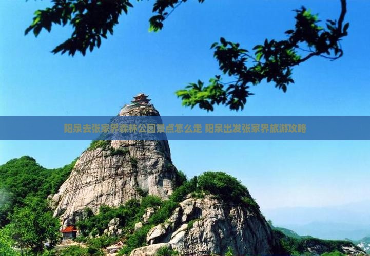 阳泉去张家界森林公园景点