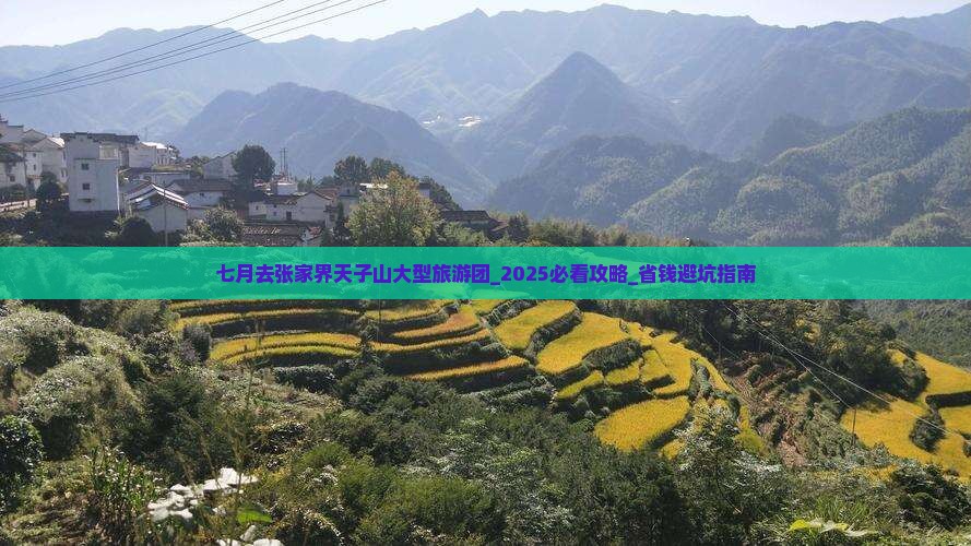 七月去张家界天子山大型旅游团