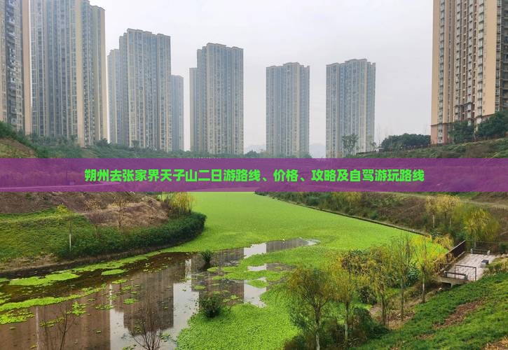 朔州去张家界天子山二日游