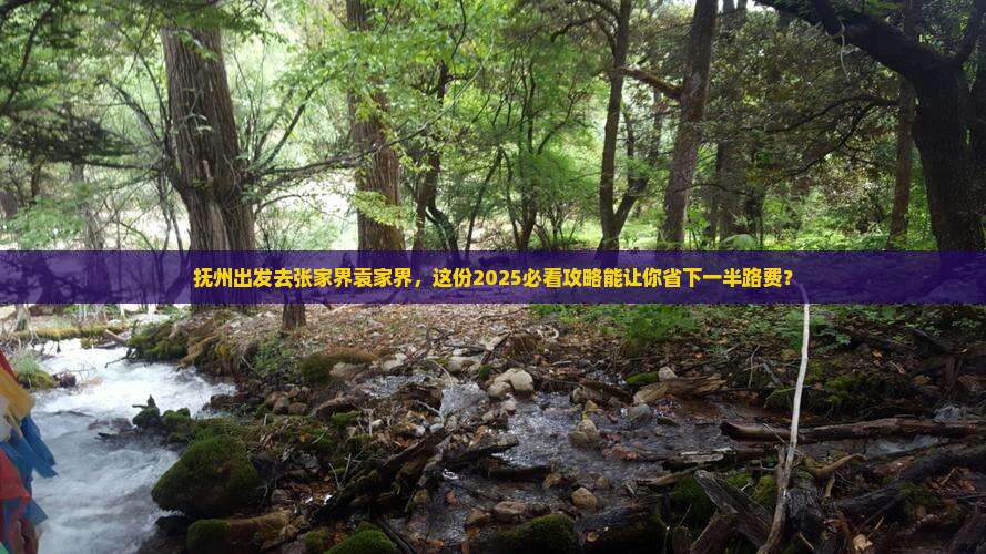 抚州去张家界袁家界个人游