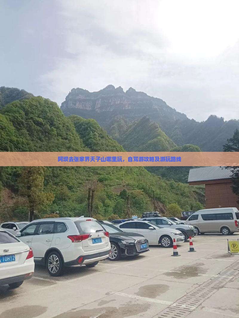 阿坝去张家界天子山哪里玩
