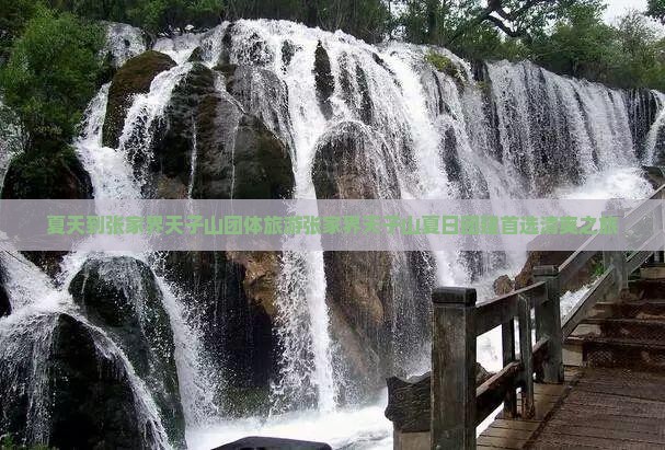 夏天到张家界天子山团体旅游