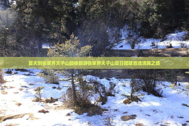 夏天到张家界天子山团体旅游