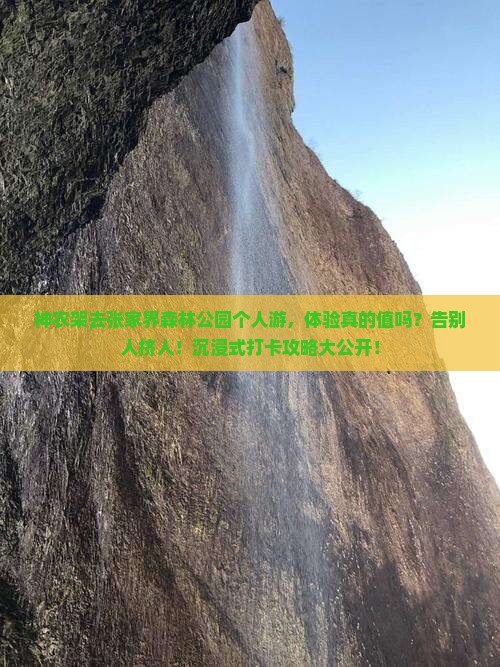 神农架去张家界森林公园个人游