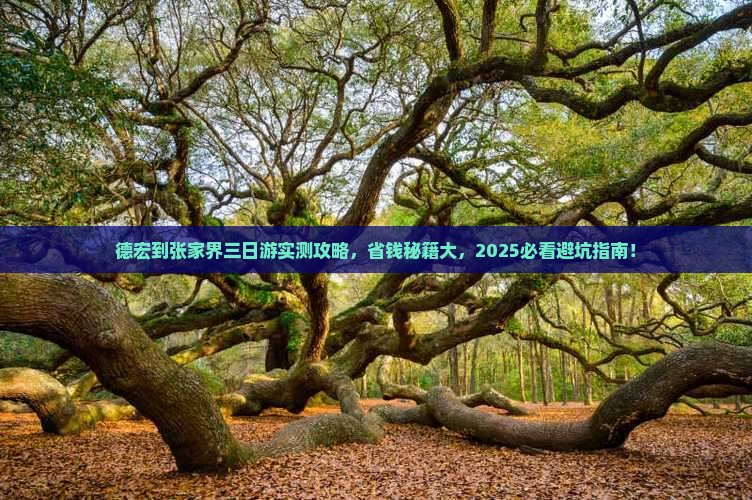 德宏到张家界三日游