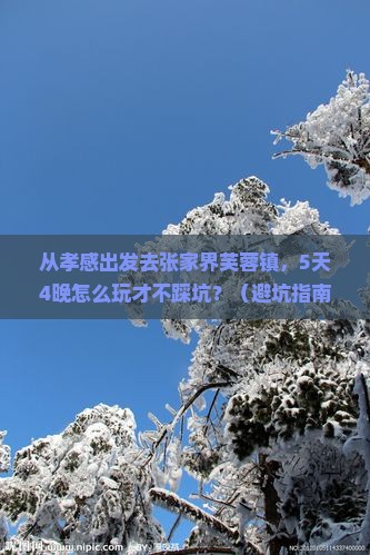 孝感去张家界芙蓉镇个人游