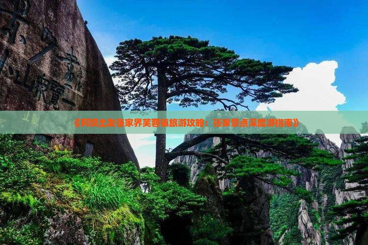 《阿坝出发张家界芙蓉镇旅游攻略：张家景点深度游指南》