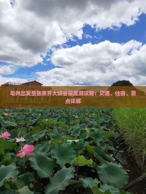 亳州出发至张家界大峡谷深度游攻略：交通、住宿、景点详解