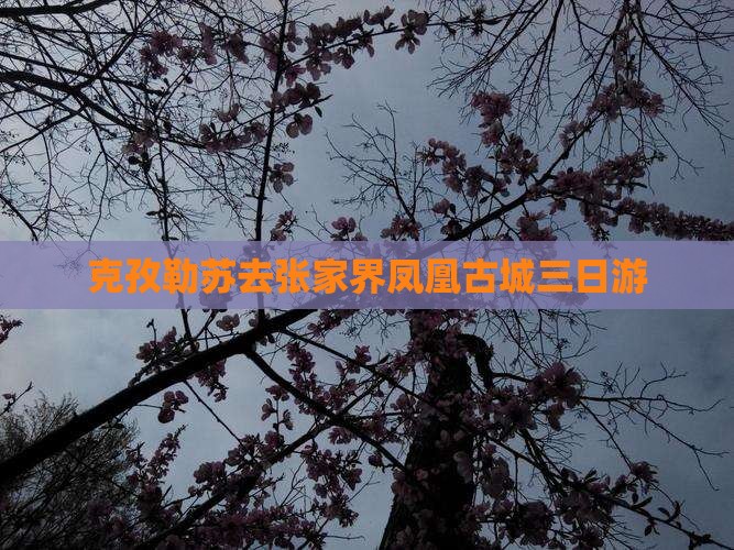 克孜勒苏去张家界凤凰古城三日游