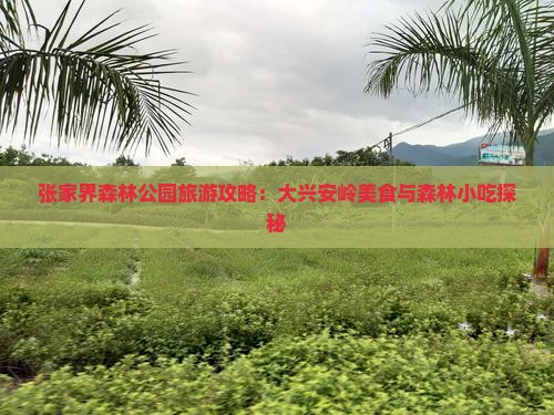 张家界森林公园旅游攻略：大兴安岭美食与森林小吃探秘