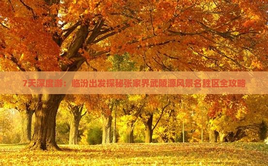 7天深度游：临汾出发探秘张家界武陵源风景名胜区全攻略