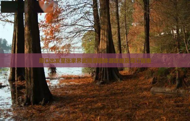 周口出发至张家界武陵源团体游攻略及预订指南