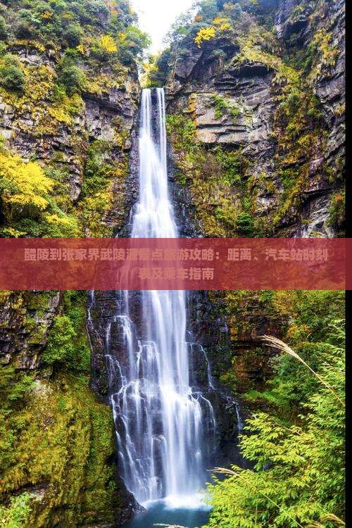 醴陵到张家界武陵源景点旅游攻略：距离、汽车站时刻表及乘车指南