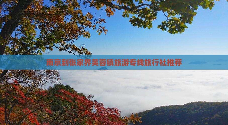 南京到张家界芙蓉镇旅游专线旅行社推荐