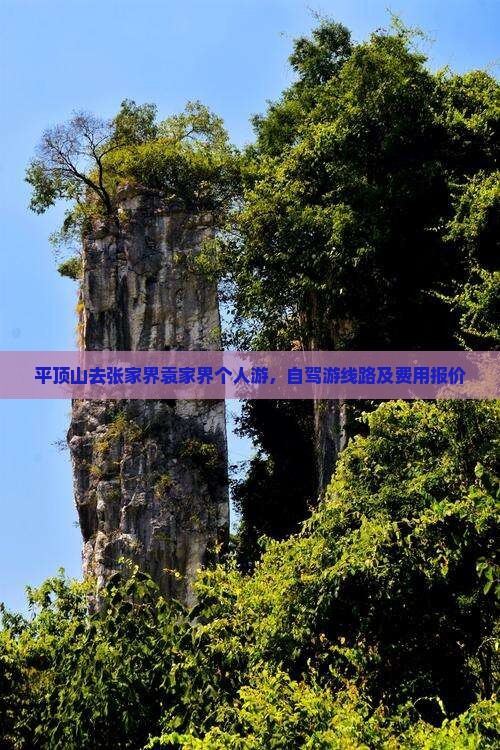 平顶山去张家界袁家界个人游，自驾游线路及费用报价