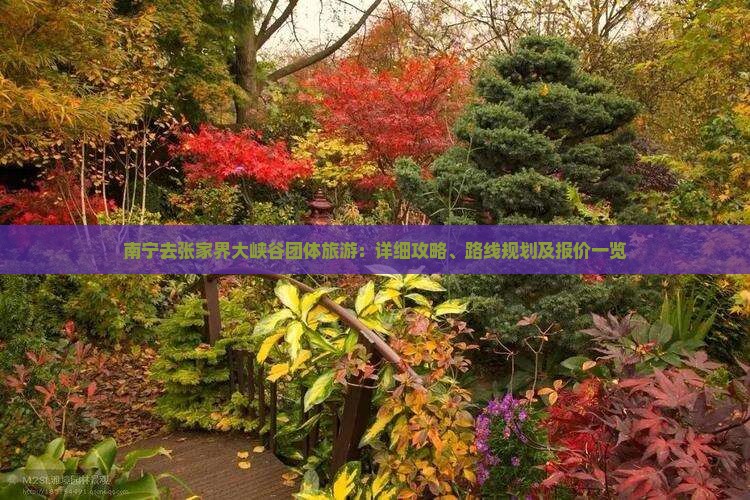 南宁去张家界大峡谷团体旅游：详细攻略、路线规划及报价一览