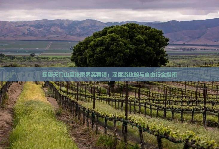 探秘天门山至张家界芙蓉镇：深度游攻略与自由行全指南
