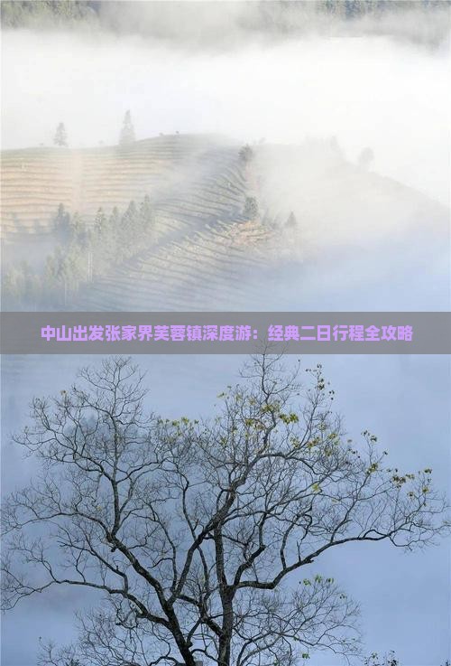 中山出发张家界芙蓉镇深度游：经典二日行程全攻略