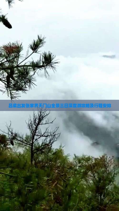 吕梁出发张家界天门山全景三日深度游攻略及行程安排