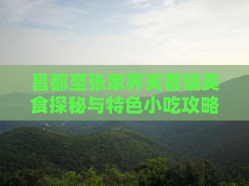 昌都至张家界芙蓉镇美食探秘与特色小吃攻略