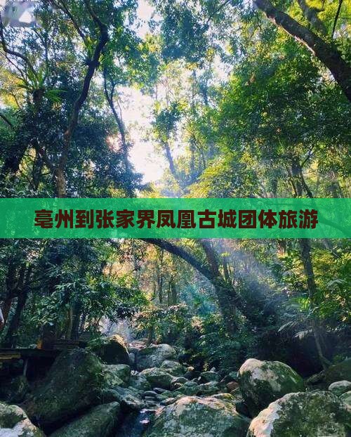 亳州到张家界凤凰古城团体旅游