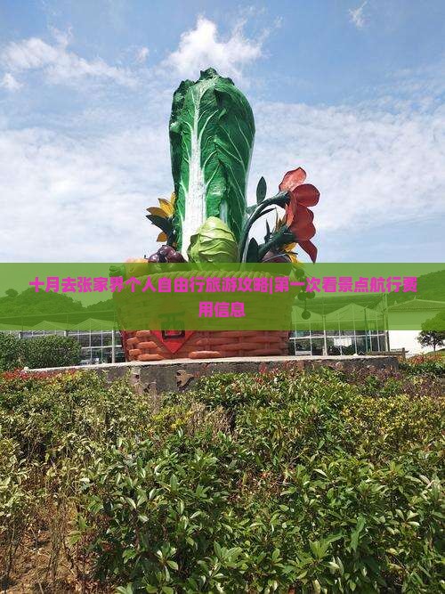 十月去张家界个人自由行旅游攻略|第一次看景点航行费用信息