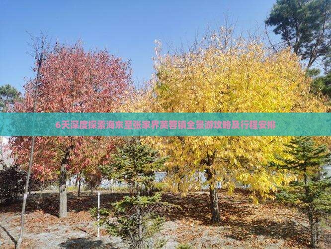 6天深度探索海东至张家界芙蓉镇全景游攻略及行程安排