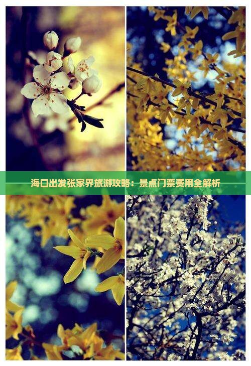 海口出发张家界旅游攻略：景点门票费用全解析